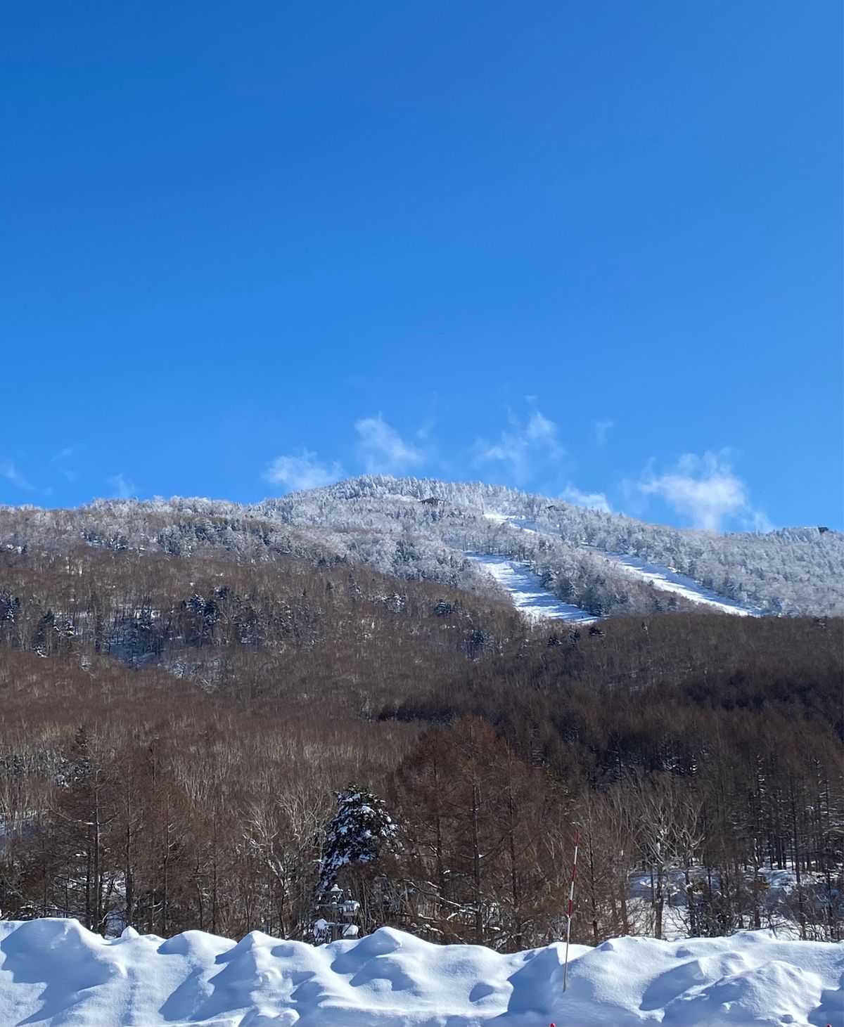 めちゃくちゃ久しぶりだったけど、2日間天候に恵まれたスキーでした✨楽しかったー🤗
