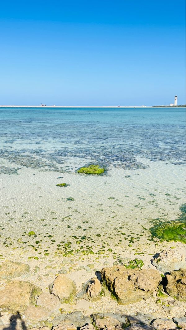 日本・沖縄県「沖縄県」の写真