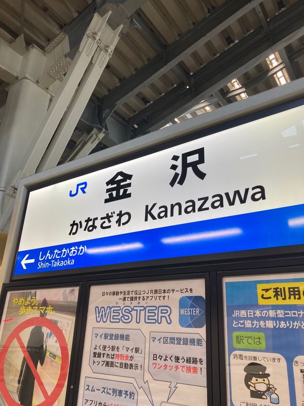 「新婚旅行」の写真