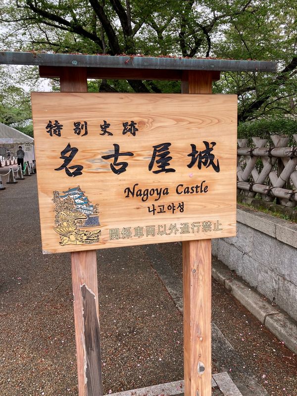 「新婚旅行」の写真