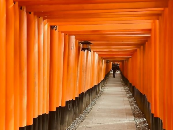 日本・京都府「「京都府』TRIP」の写真：伏見稲荷大社
千本鳥居