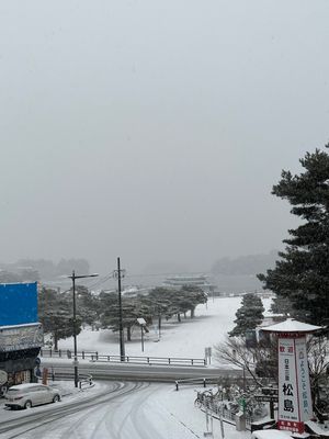 初めての松島海岸は、雪で何も見えませんでした😭
晴れてたら綺麗だったんだろ...