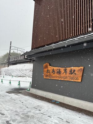 初めての松島海岸は、雪で何も見えませんでした😭
晴れてたら綺麗だったんだろ...