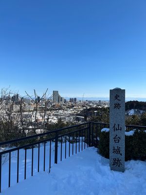 初めての松島海岸は、雪で何も見えませんでした😭
晴れてたら綺麗だったんだろ...