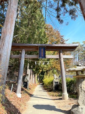 別所温泉
●常楽寺本堂
●安楽寺　御舟松
地を這うような松の枝も含めて、す...