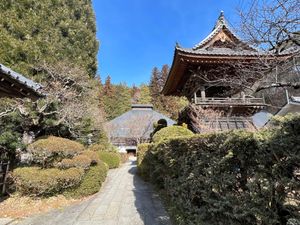 長野県別所温泉
●北向観音
●安楽寺　黒門
●安楽寺　鐘楼と本堂
●安楽寺...