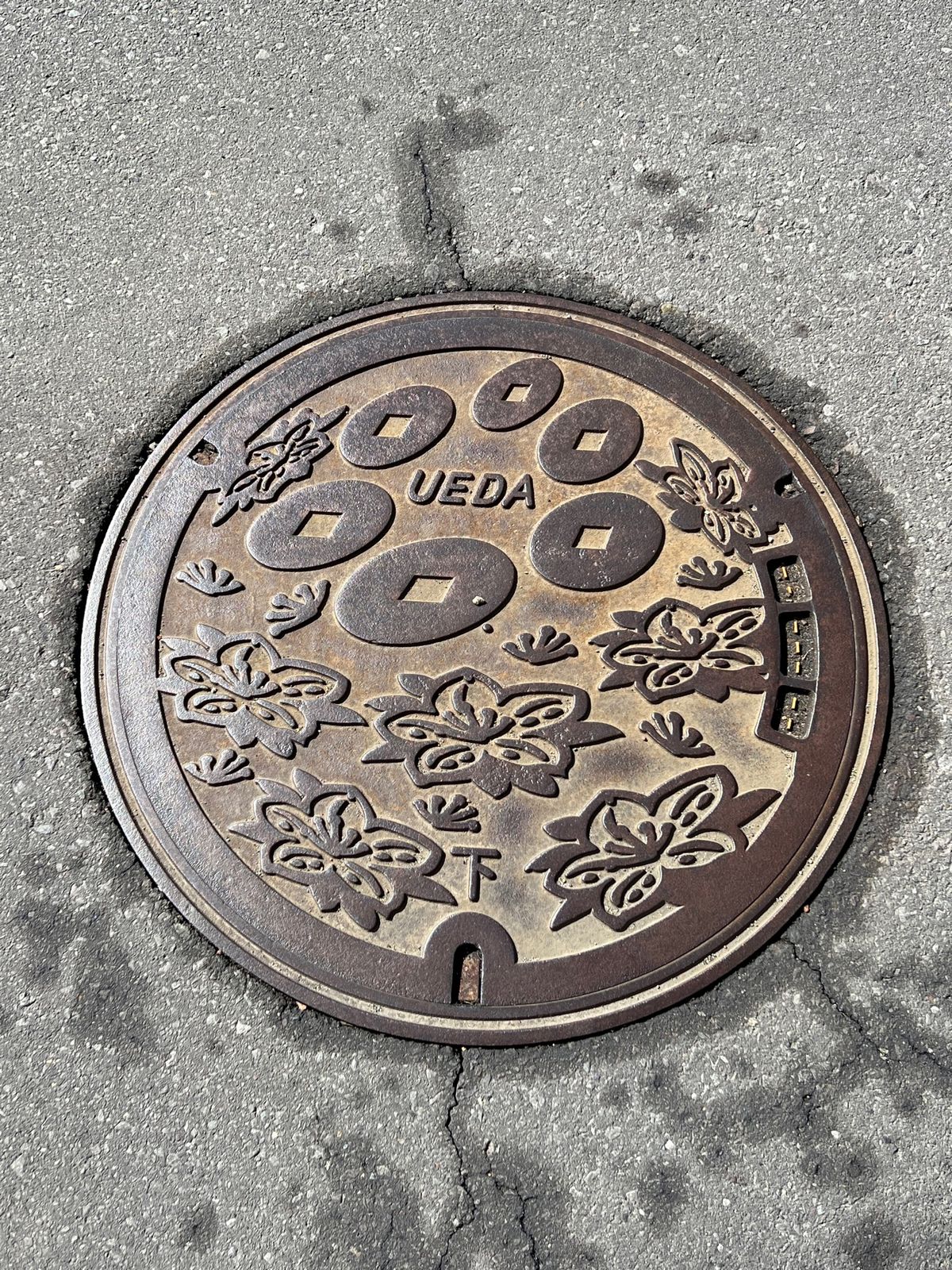 長野県上田市
●上田市立博物館
●上田市立博物館　別館
●上田市のマンホー...