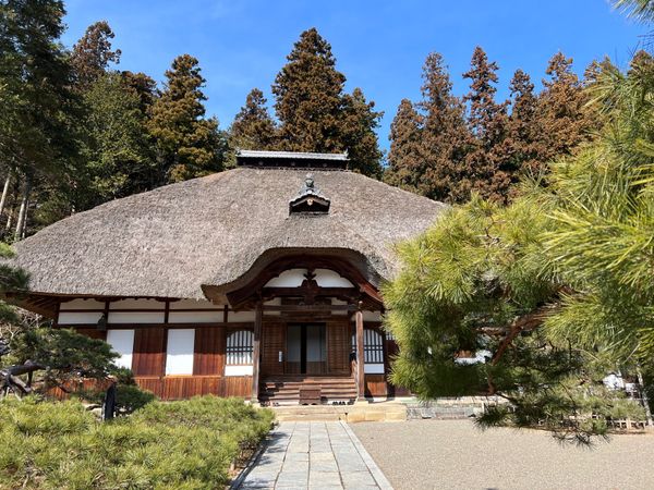 日本・長野県「長野県上田と別所温泉　全国旅行支援利用」の写真：別所温泉
●常楽寺本堂
●安楽寺　御舟松...