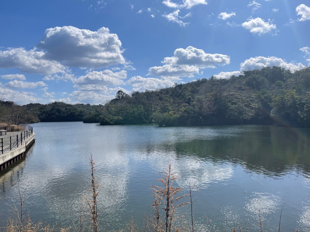 凄い形をしている湖、蟠竜湖（ばんりゅうこ）
この手のような形の湖を上から見...