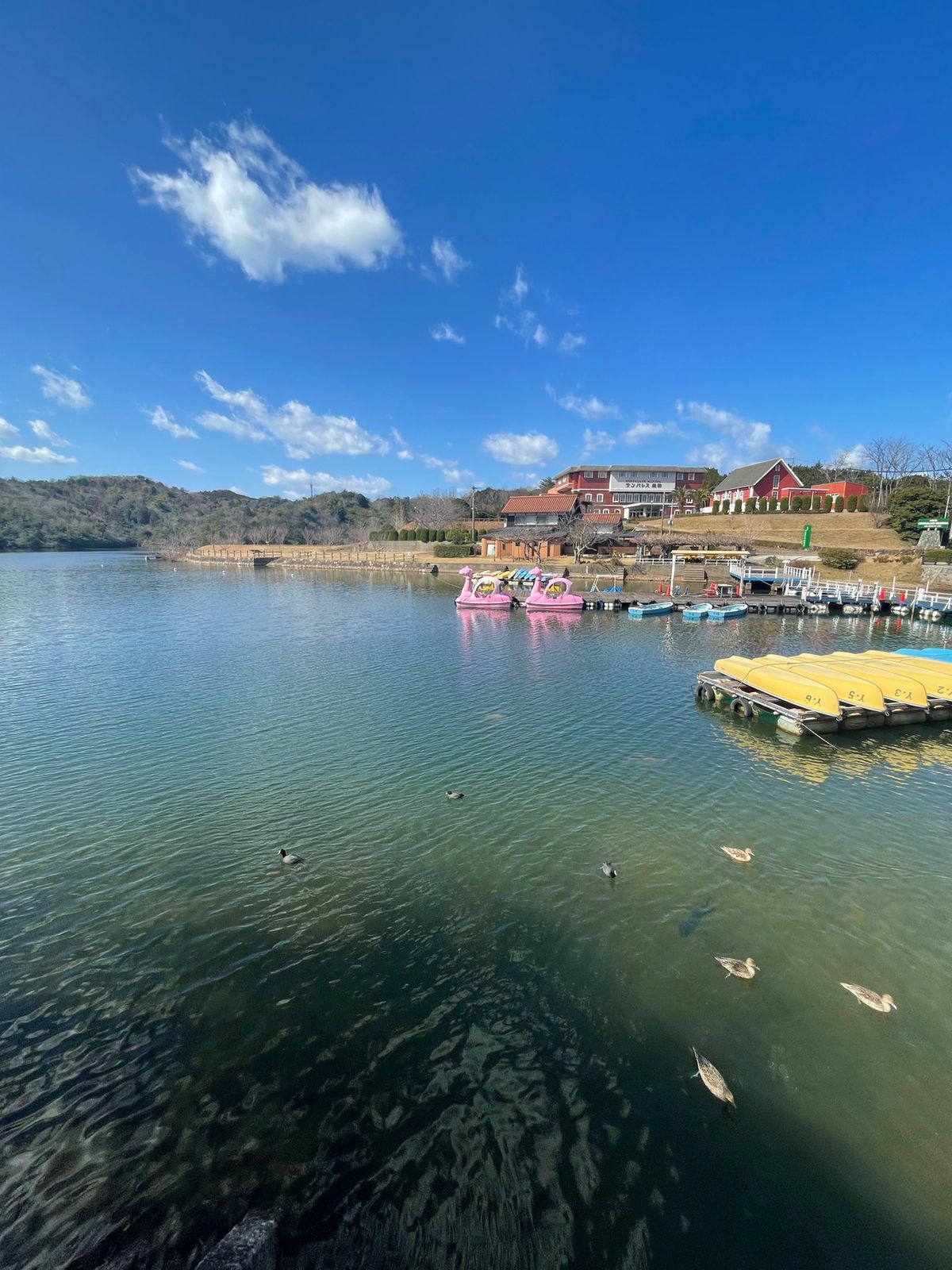 凄い形をしている湖、蟠竜湖（ばんりゅうこ）
この手のような形の湖を上から見...