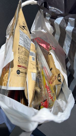 今回はアオリイカだった。次はヤリイカが食べたい。
全国割引のクーポンを空港...
