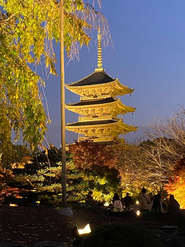 日本・京都府「京都、大阪の旅」の写真