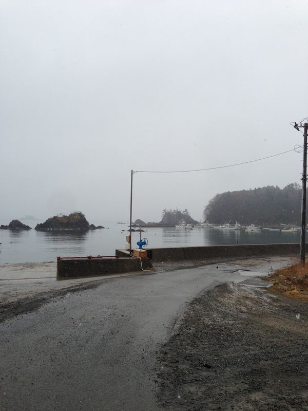 日本・宮城県「南三陸町ボランティア」の写真