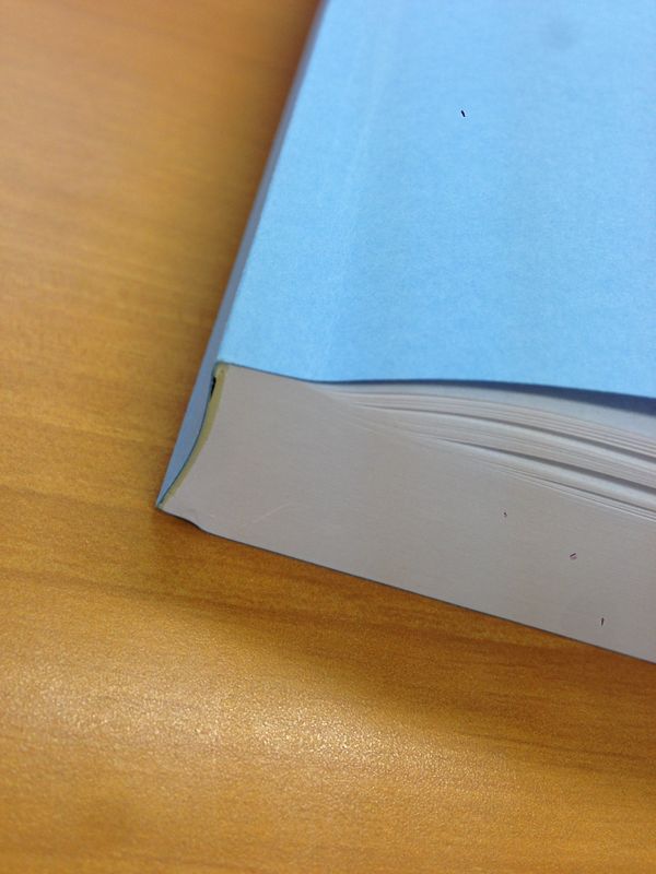 日本・埼玉県「研修2」の写真