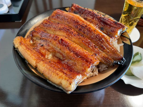 日本・神奈川県「えのすいフライデーナイト」の写真