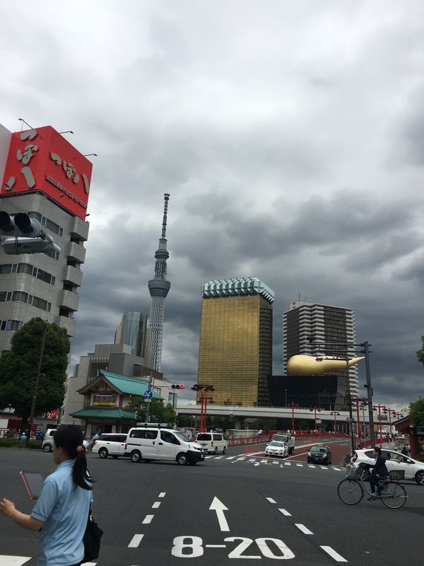 日本・東京都「ソフト研修会」の写真