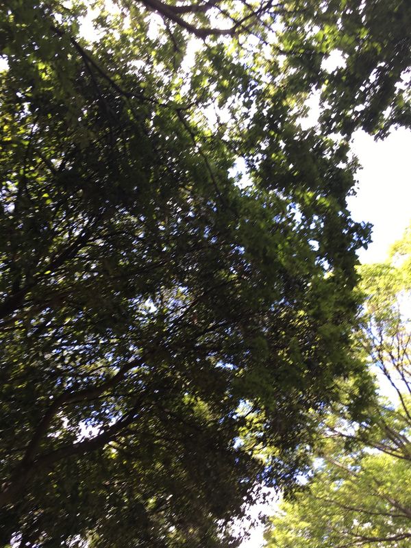 日本・千葉県「オープンキャンパス」の写真