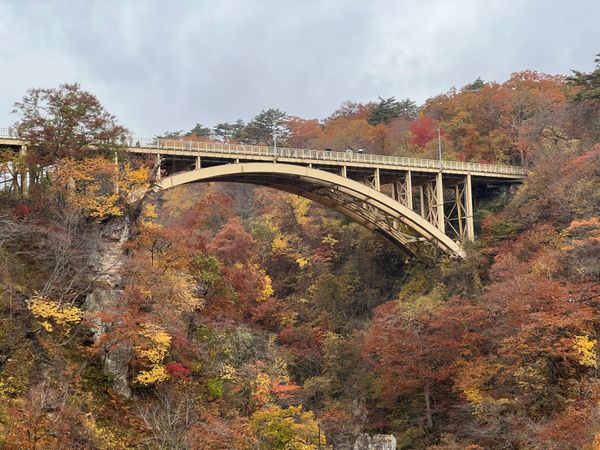 日本・青森県「東北旅」の写真