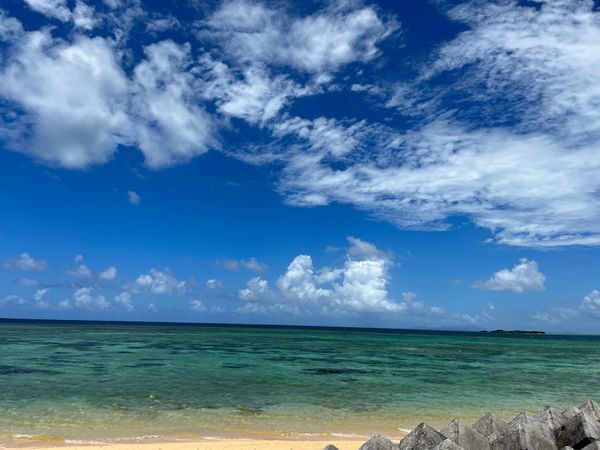 日本「西表島ダイビング」の写真：陸