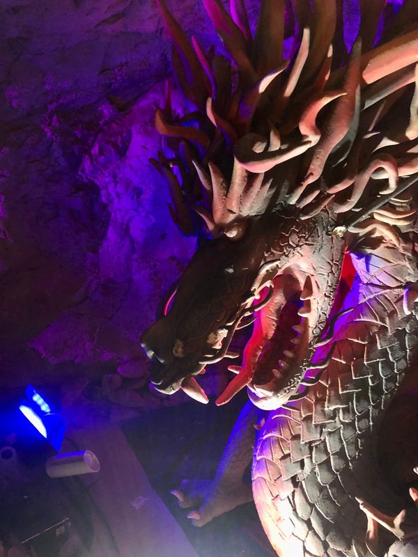 日本・神奈川県「江ノ島」の写真