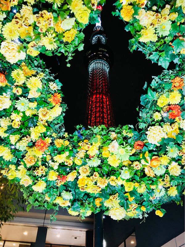 日本・東京都「東京スカイツリー」の写真