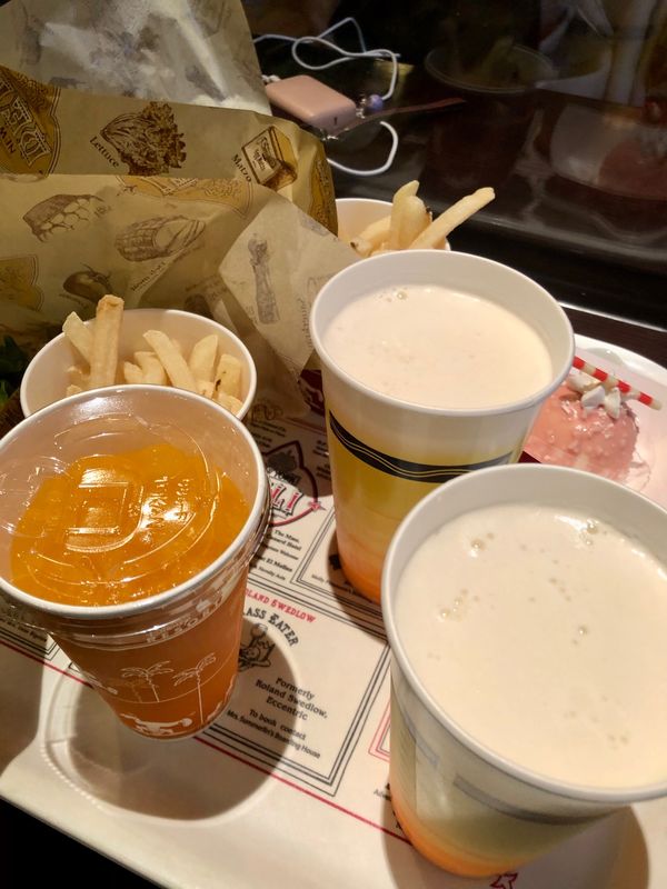 日本・千葉県「東京ディズニーシー」の写真