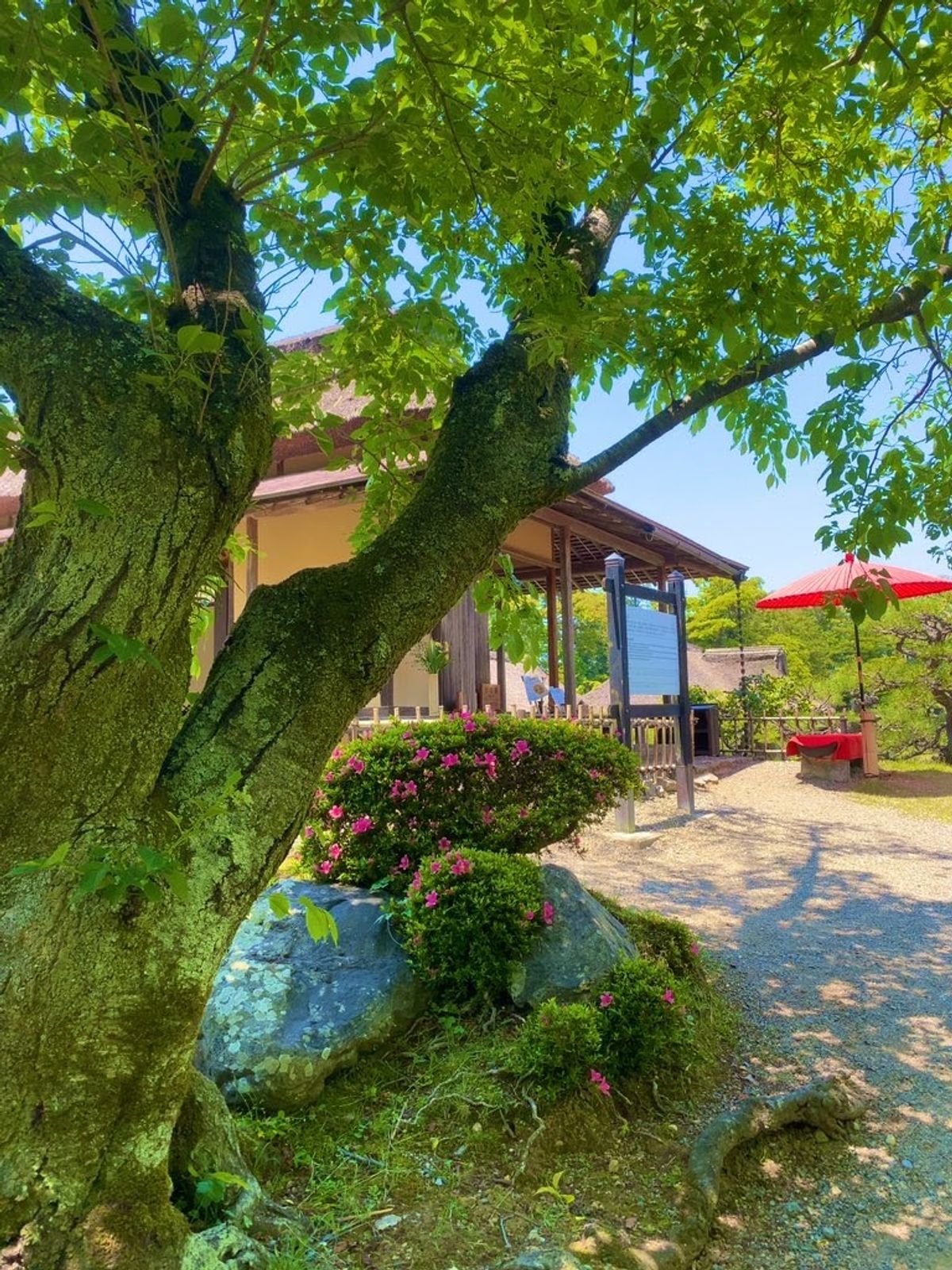 初の彦根城
この日は彦根城内を見て、城下町で鰻食べて
ビール呑んで帰りました