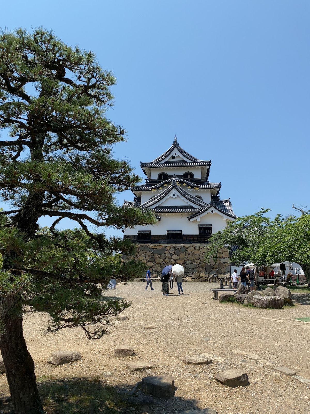 初の彦根城
この日は彦根城内を見て、城下町で鰻食べて
ビール呑んで帰りました