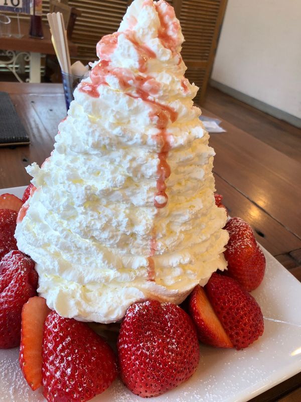 日本・栃木県「いちご狩り」の写真