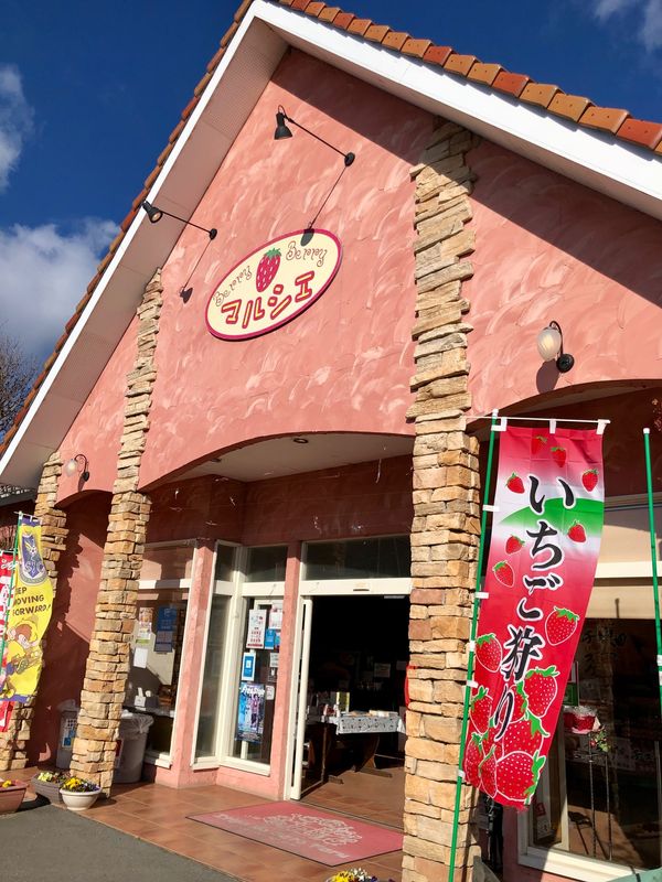 日本・栃木県「いちご狩り、あしかがフラワーパーク」の写真