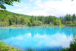 北海道