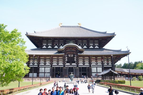 日本・奈良市「奈良旅行」の写真