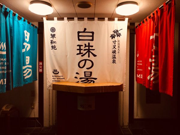 日本・静岡県「平成最後の旅in静岡」の写真：寸又峡