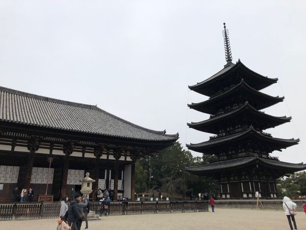 日本・奈良市「奈良旅行」の写真