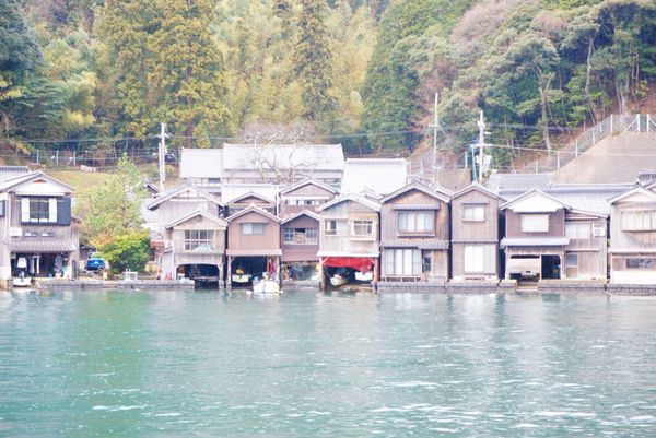 日本「亥年、猪食べよう旅」の写真