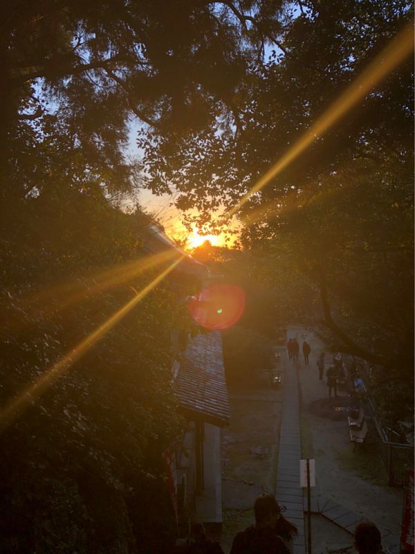 日本・淡路島「年越しin淡路」の写真