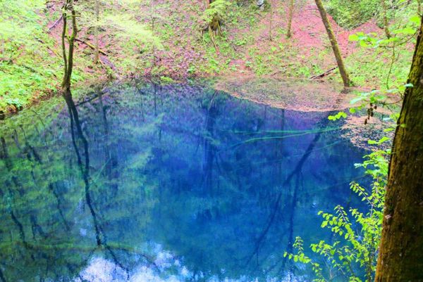 日本・銀山温泉「東北3泊4日の旅 〜よきかな〜」の写真：青森