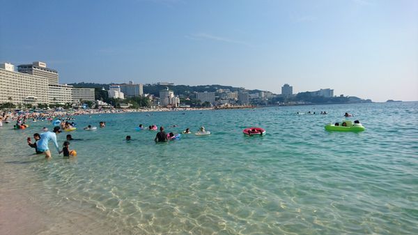 日本・和歌山県「ハリーポッターの和歌山の旅 〜大人の修学旅行〜」の写真
