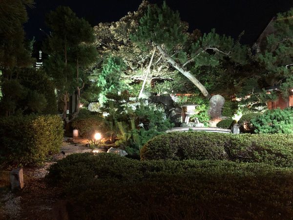 日本・福井県「福井旅行」の写真