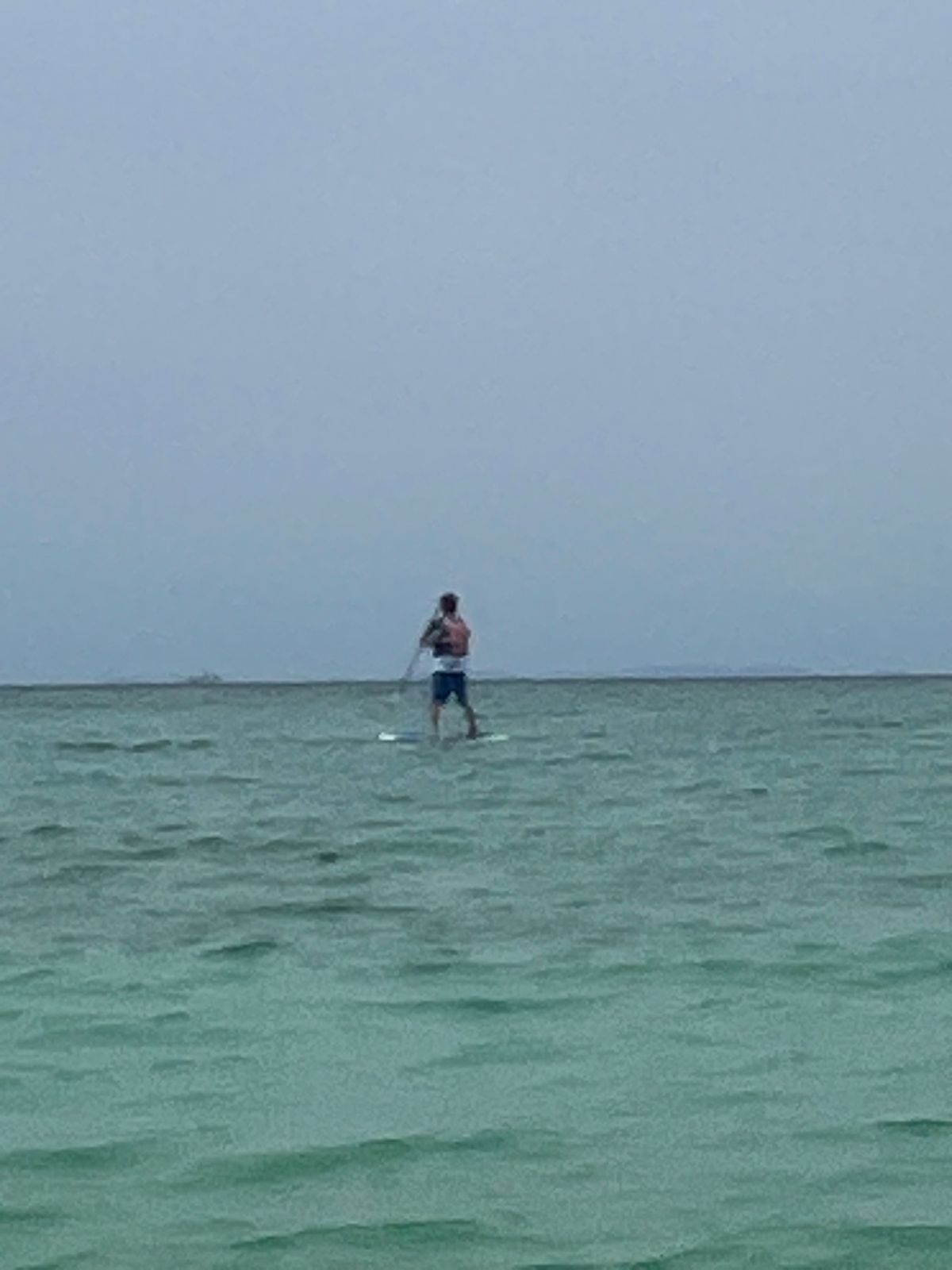 沖縄県読谷村
●ホテル日航アリビラの正面玄関
●アリビラの中庭の花壇
●S...