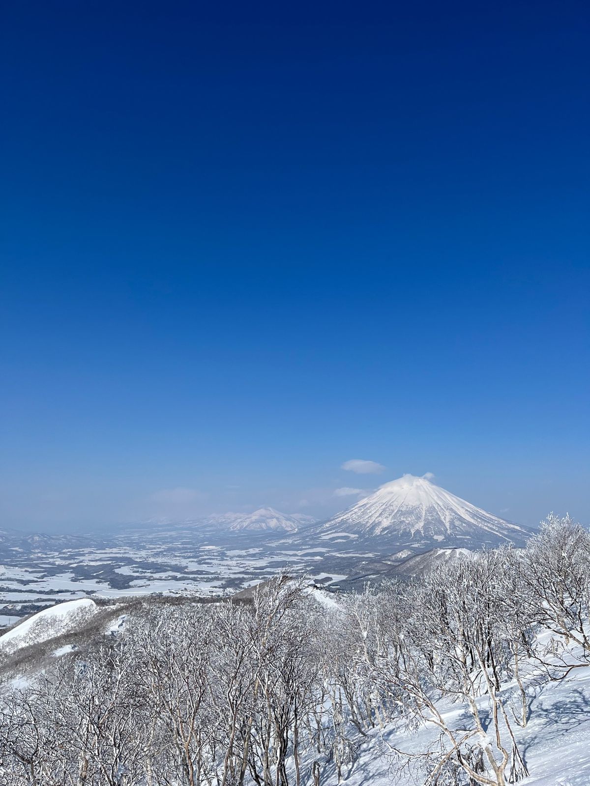 パウダー最高♪
ツリーラン🌲もめちゃくちゃ楽しかった〜
やっぱり北海道は何...