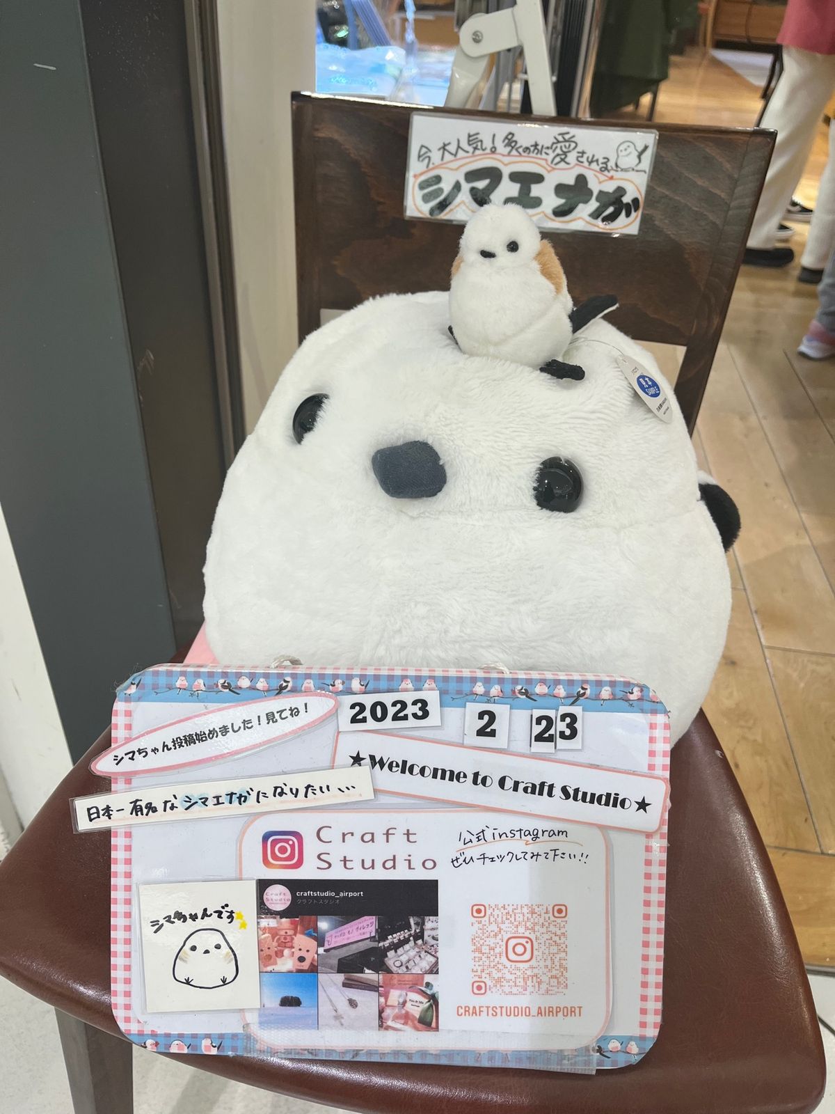 パウダー最高♪
ツリーラン🌲もめちゃくちゃ楽しかった〜
やっぱり北海道は何...