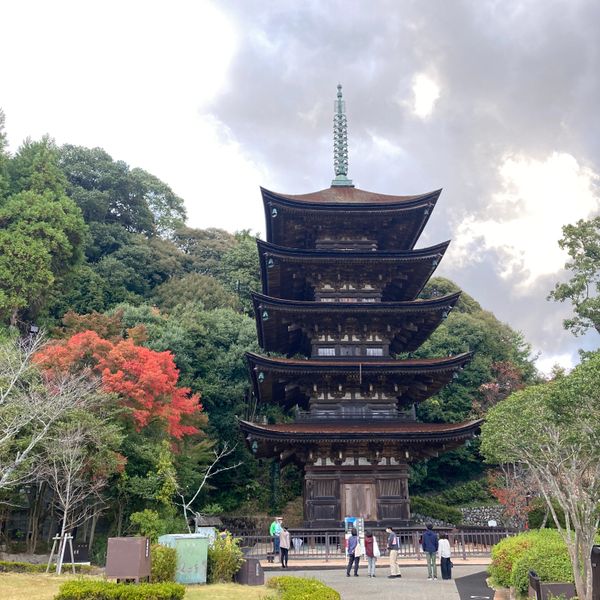 日本・山口県「瑠璃光寺参詣」の写真