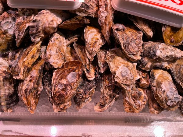 日本・白川郷「白川郷、金沢」の写真