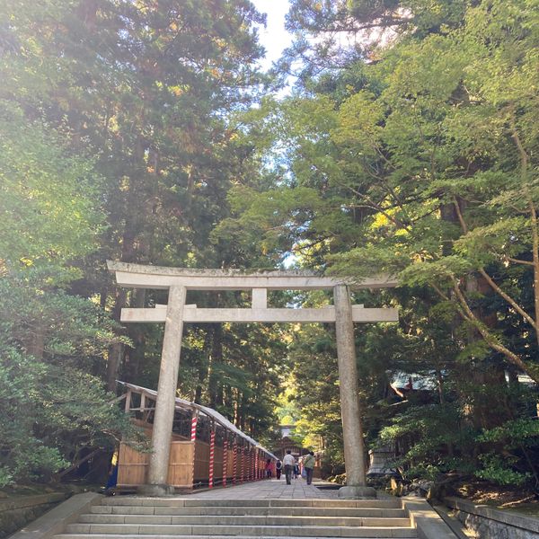 日本・新潟県「弥彦神社参詣」の写真