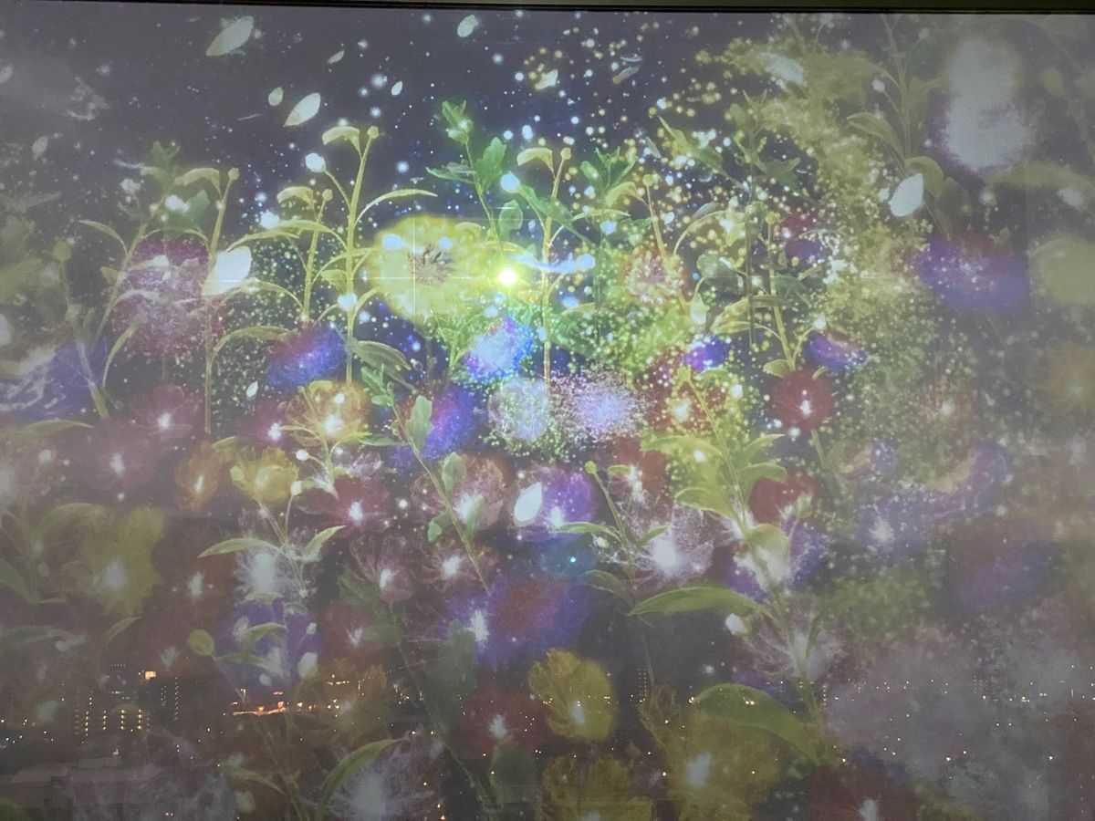 夜歩きアート県庁　NAKED GARDEN SAGA 
このプロジェクトは...