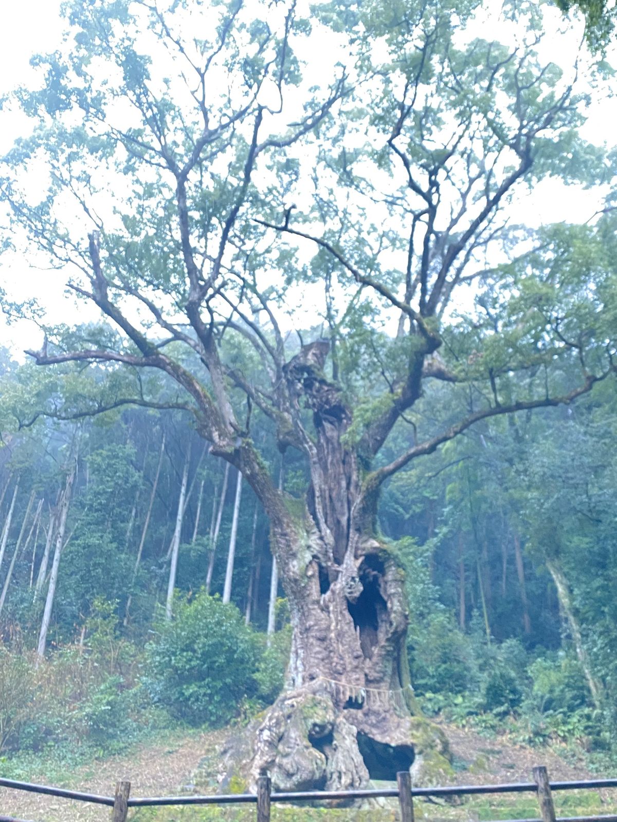 武雄市にある図書館や神社など観光した！
お天気があまり良くなかったが、行き...