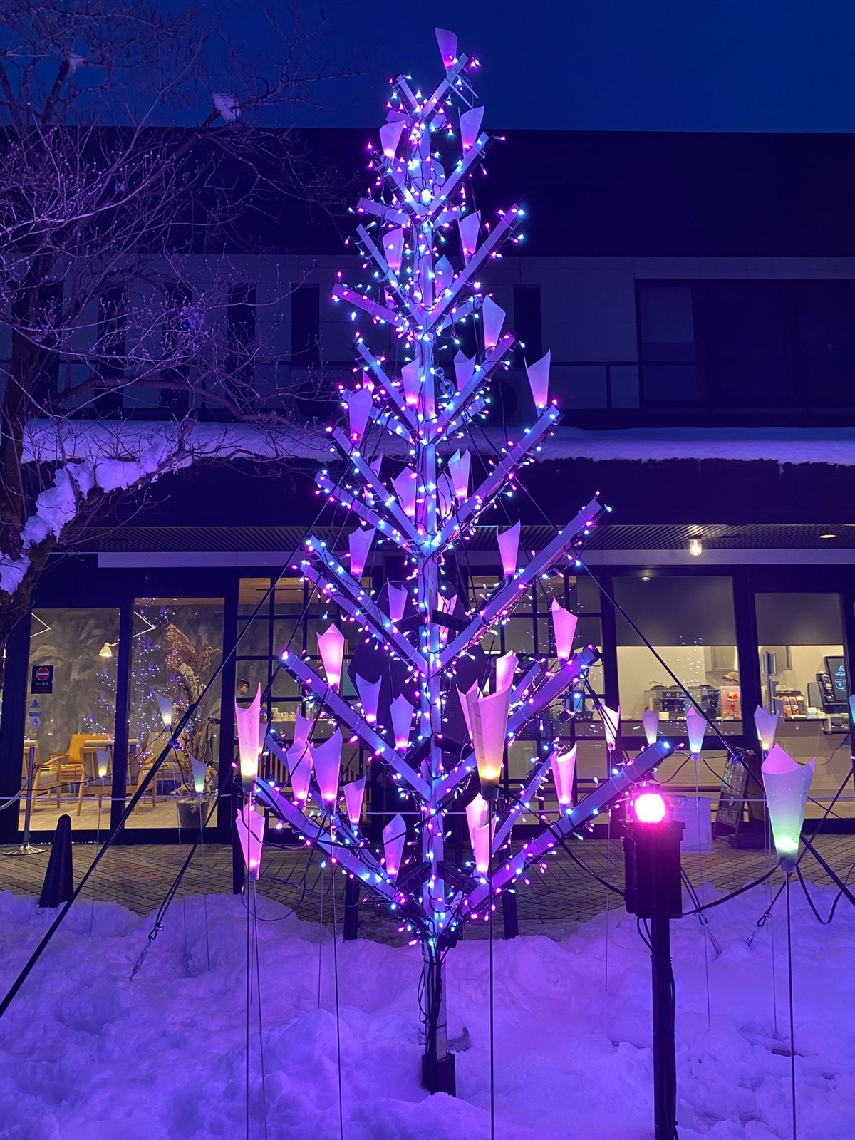 道の駅寒河江チェリーランドで、お土産コーナやアイスなど
販売していて、買い...