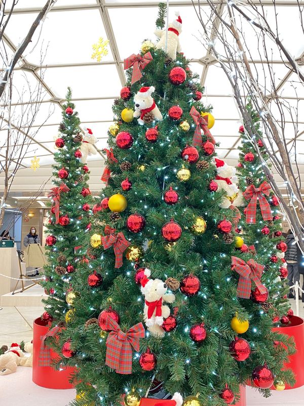 日本・大阪府「大阪trip ✈︎」の写真：可愛らしいクリスマスツリーが飾っていて、...