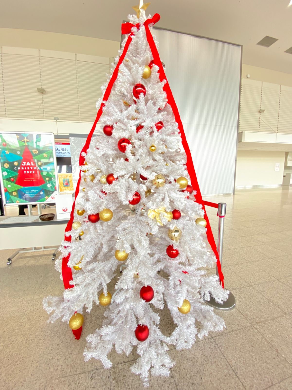 可愛らしいクリスマスツリーが飾っていて、魅力を感じた♬
夜に、友達とクリス...